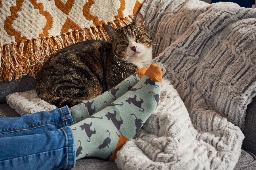 Cat Care