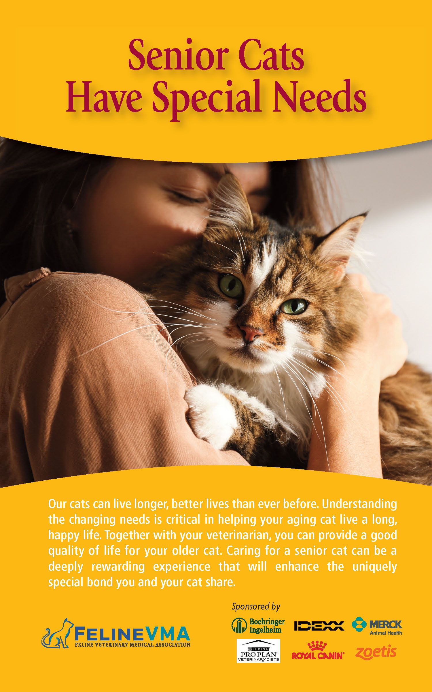 Cat Care