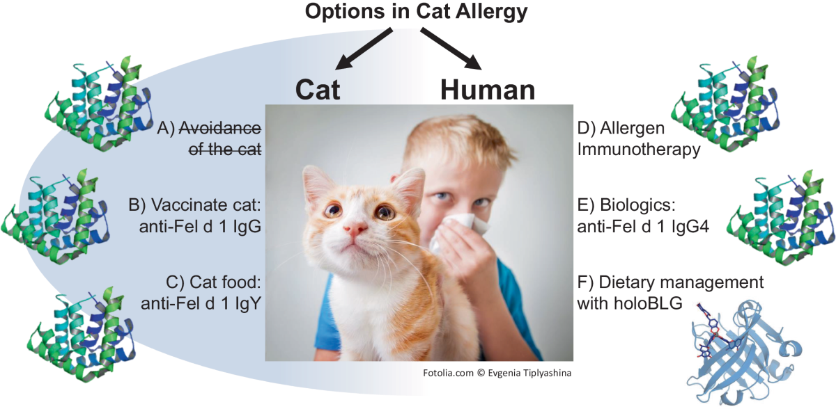 Managing cat allergies