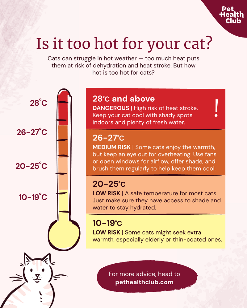 Climate Change and Indoor Cats: Managing Heat Stress and Allergies in 2026's Extreme Weather