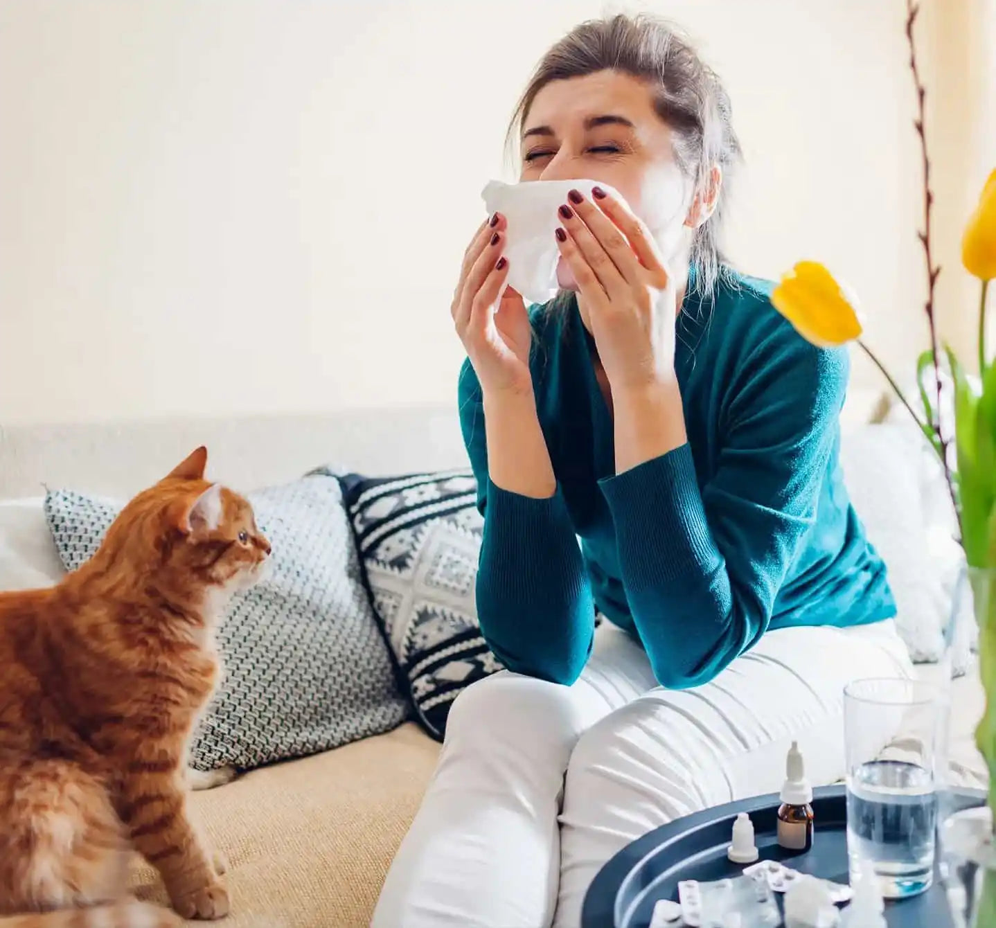 Managing Cat Allergies & Fever Symptoms