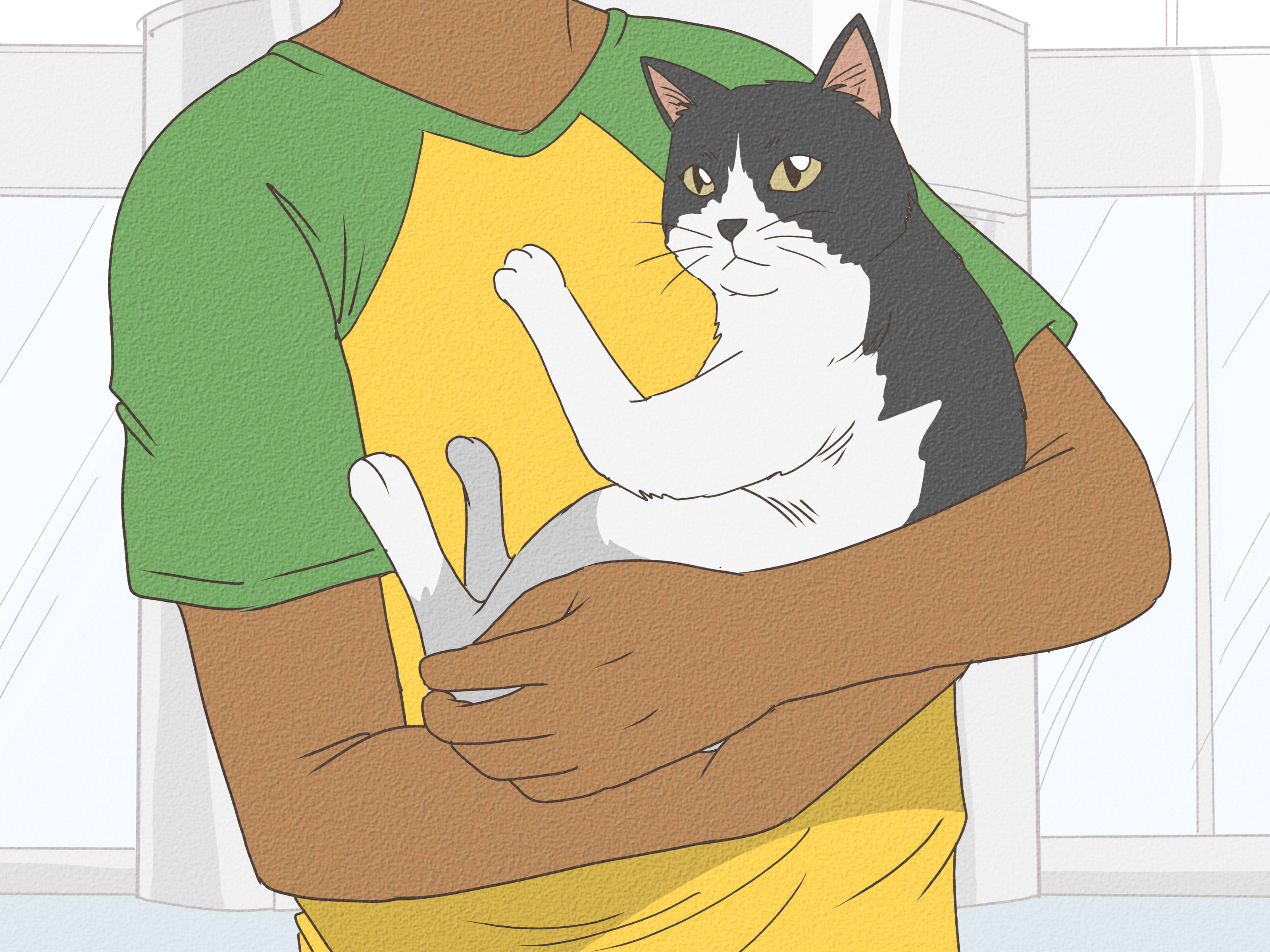 Cat Care