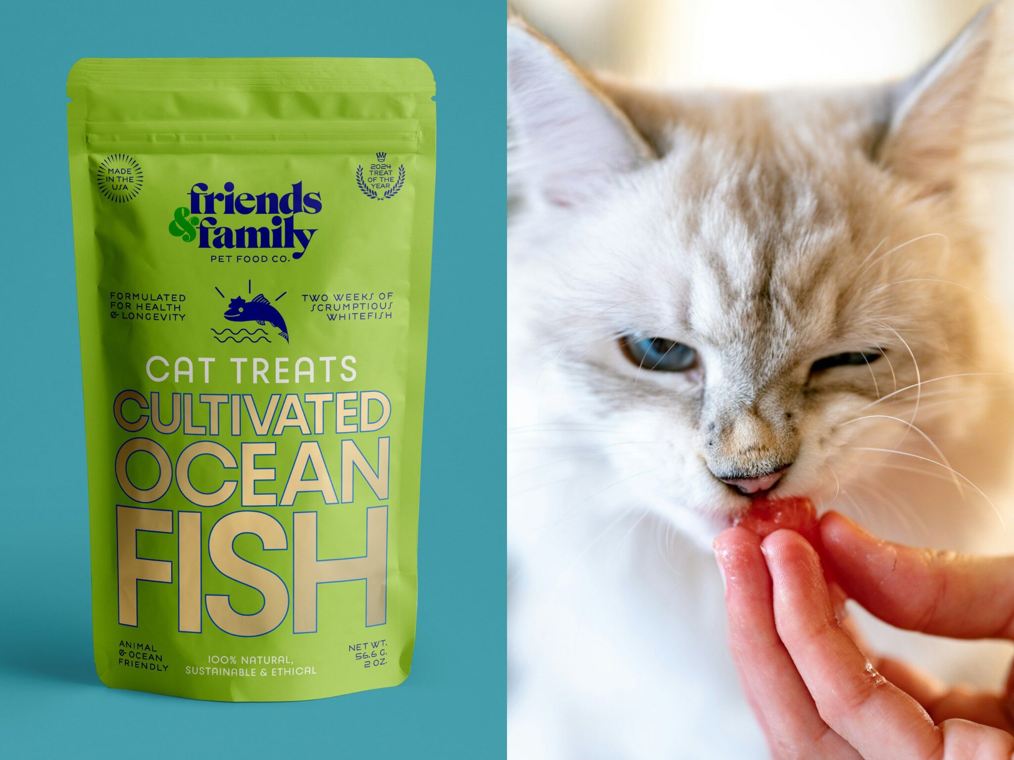 Lab-Grown Cat Food Revolution: 2026's Sustainable Nutrition Trends and Health Benefits for Cats