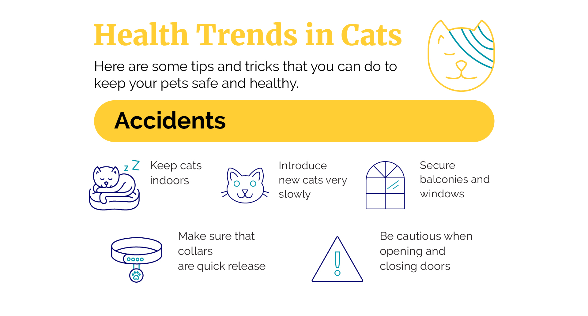 Cat Health Care Trends