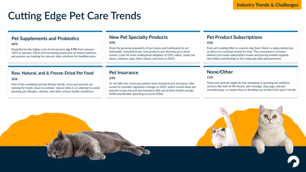 Best Cat Health Care: 2026 Guide to Costs, Insurance, and Prevention