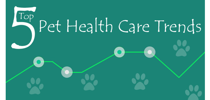 Cat Health Care Trends