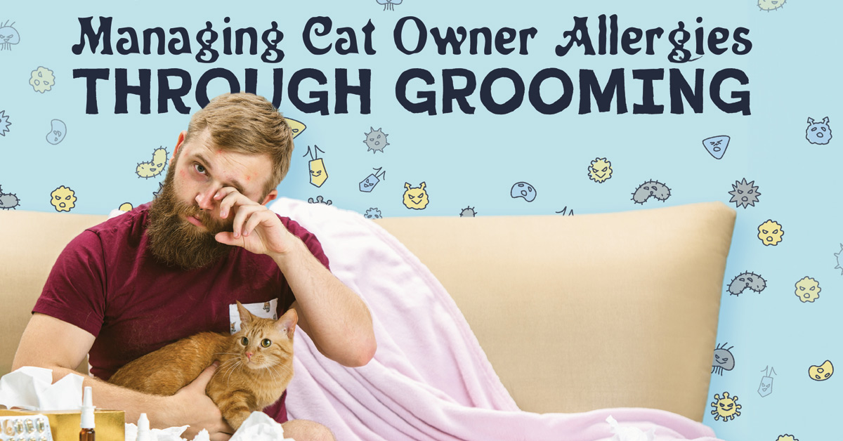 Managing Cat Allergies: Best Air Purifiers and Grooming Tools