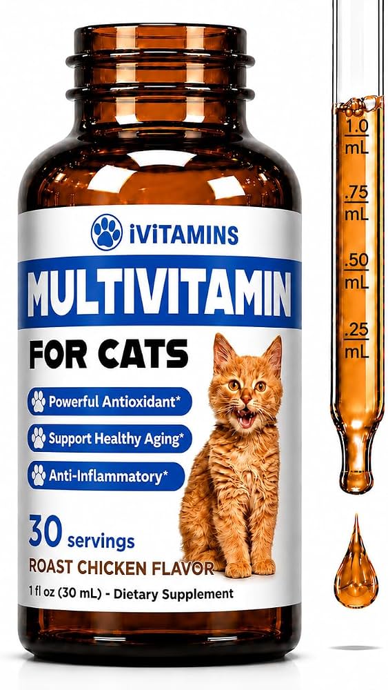 Best cat health care upgrade