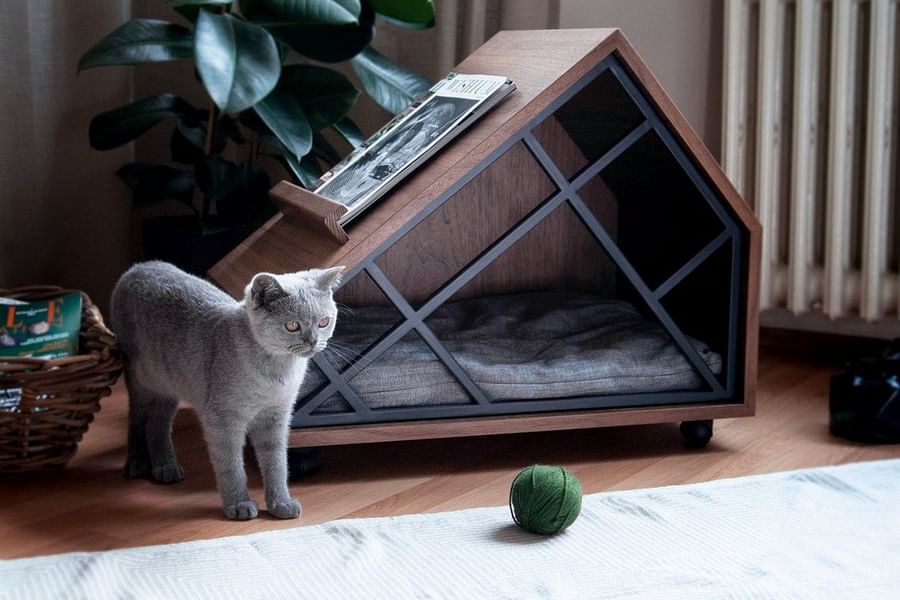 cat-friendly furniture