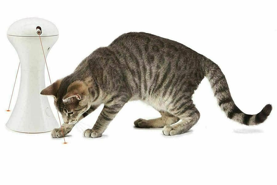 automatic laser cat toy
