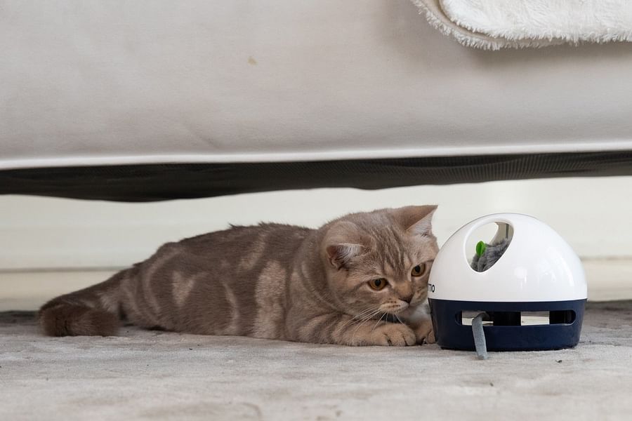 electronic mouse cat toy