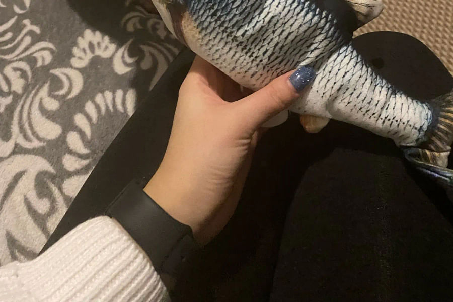 interactive flopping fish cat toy