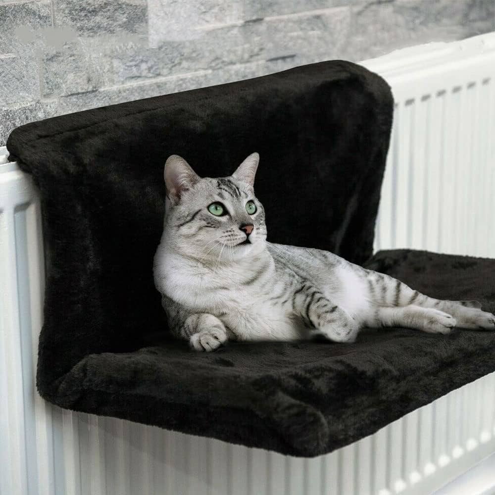 cat radiator hammock