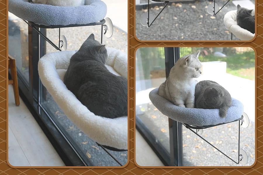 cat window perch bed