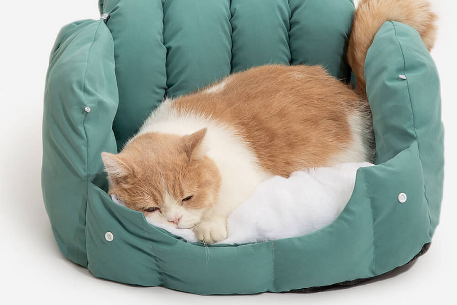 enclosed cat bed