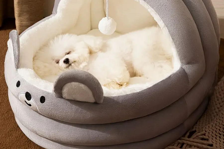 enclosed cat condo bed