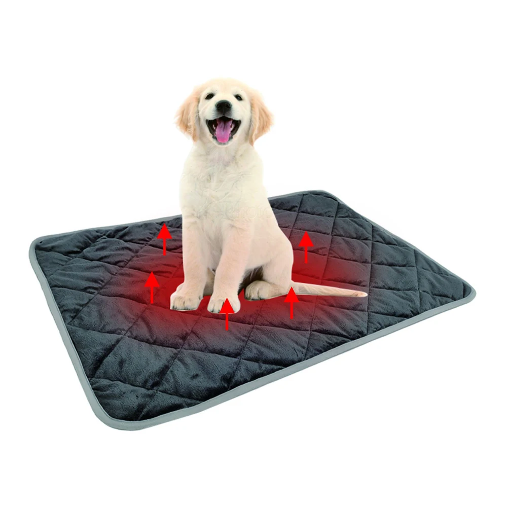 heated cat pad
