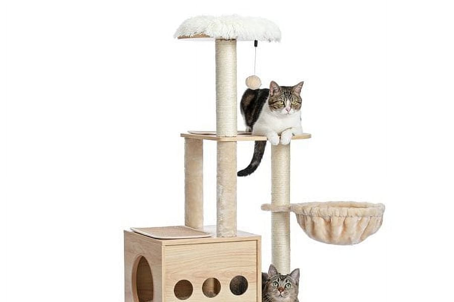 interactive cat hammock