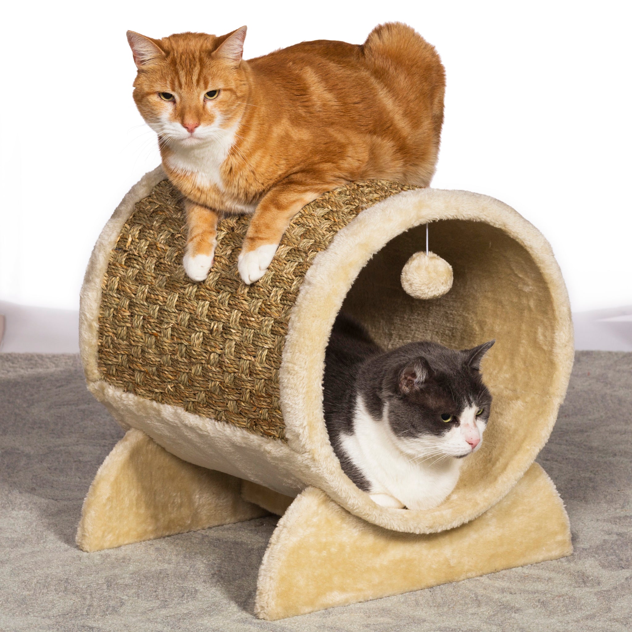 interactive cat mat bed
