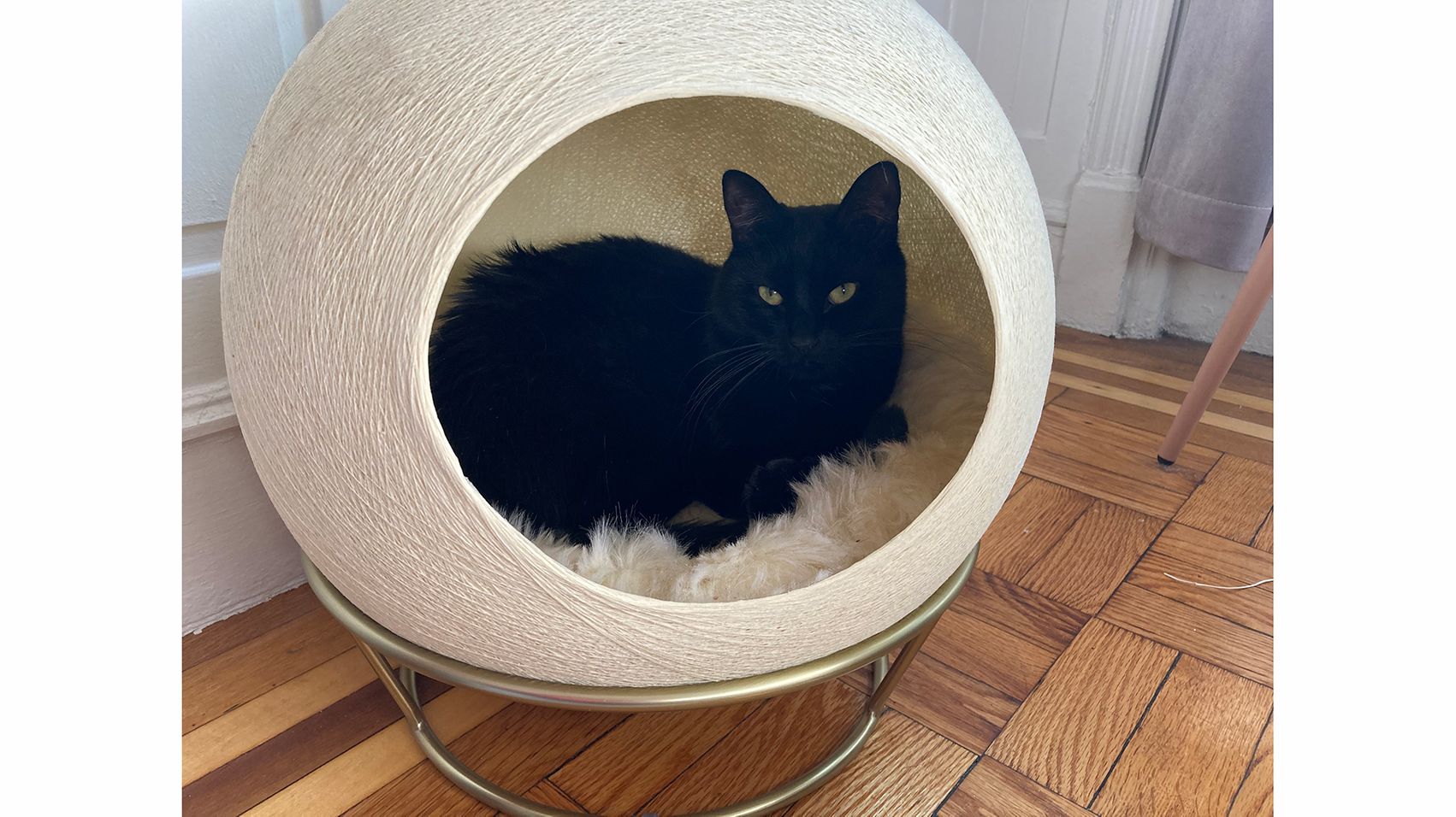 luxury canopy cat bed