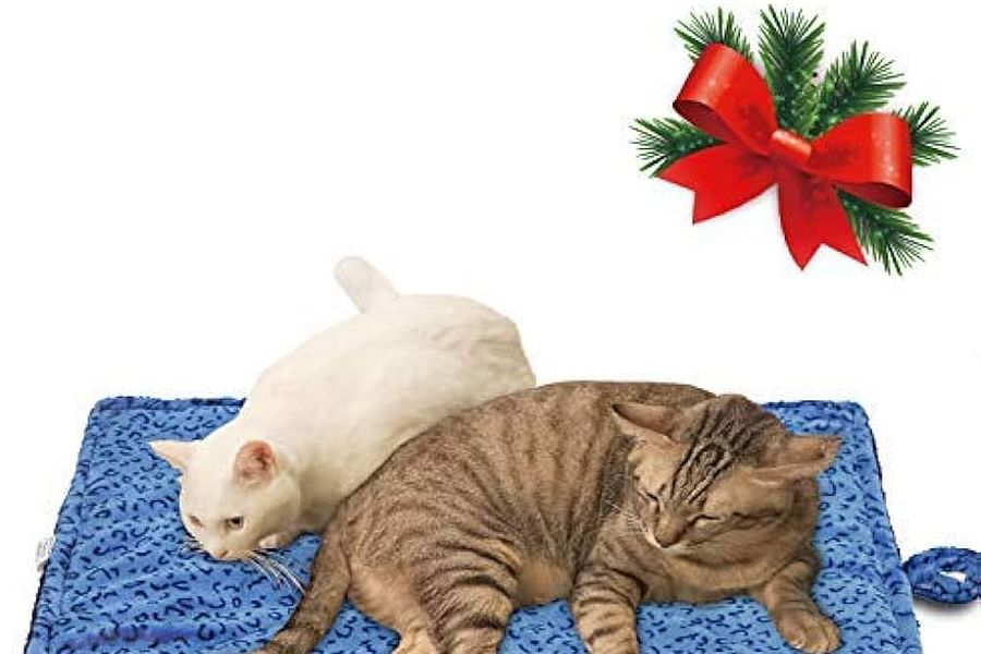 self-warming cat bed