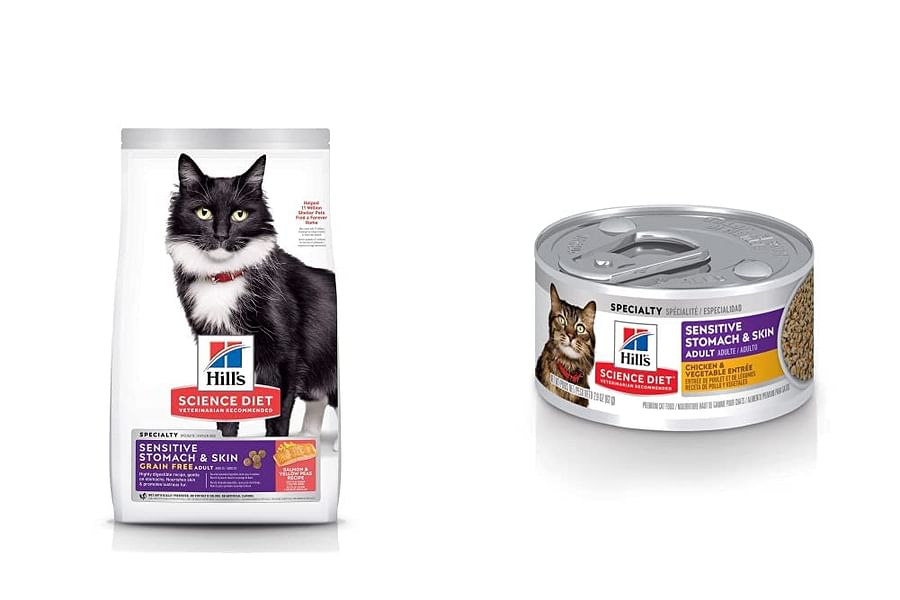 Hill's Science Diet Adult Sensitive Stomach & Skin cat food