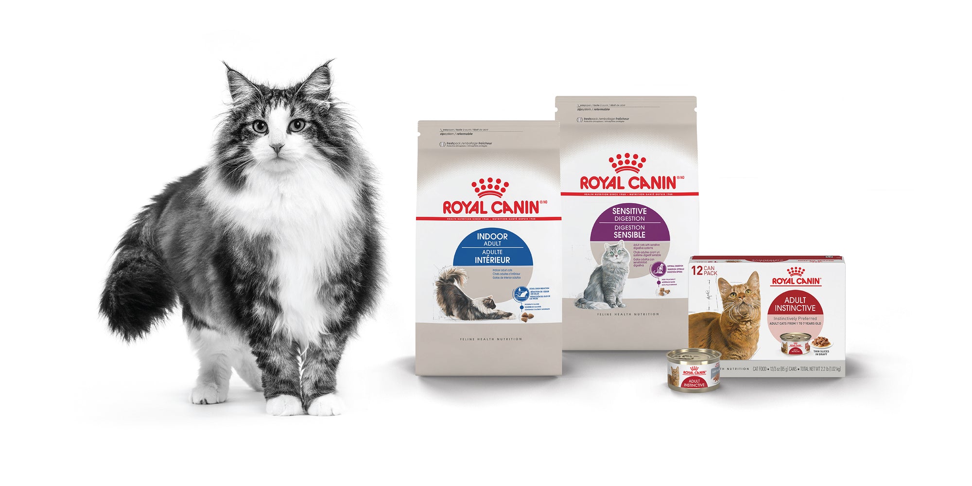 Royal Canin Veterinary Diet Skin Support cat food
