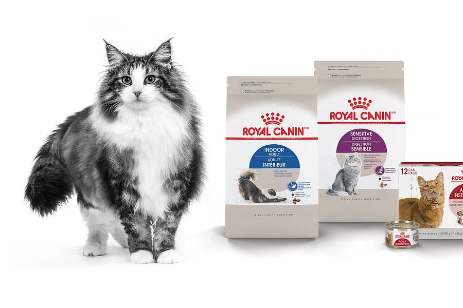 Royal Canin Veterinary Diet Skin Support cat food