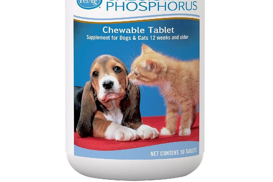 calcium phosphorus cat food