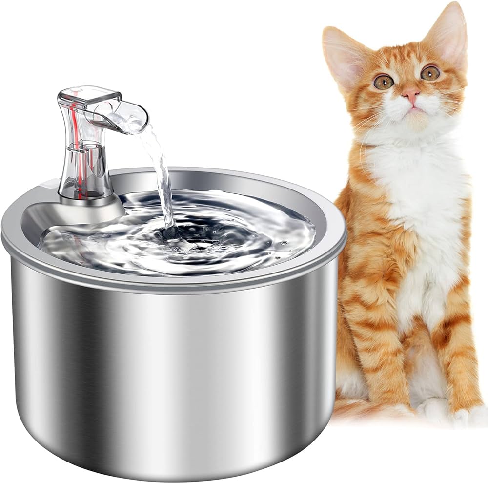cat water bowl