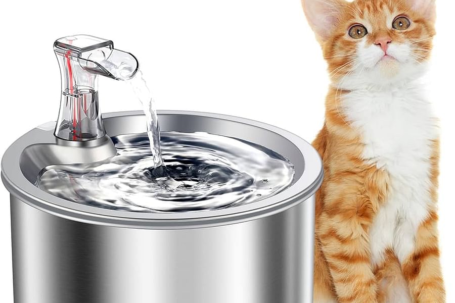 cat water bowl