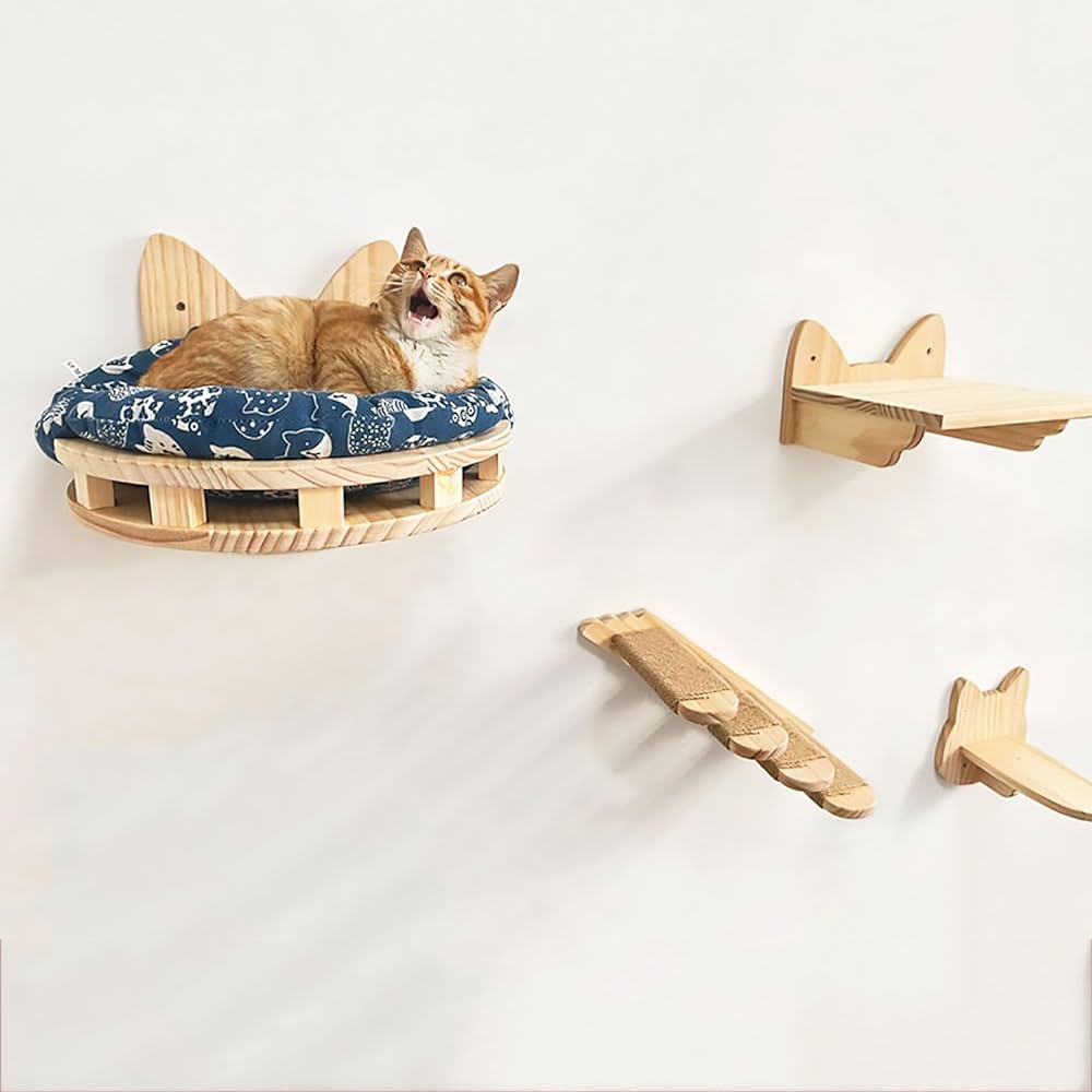 cat jumping between furniture