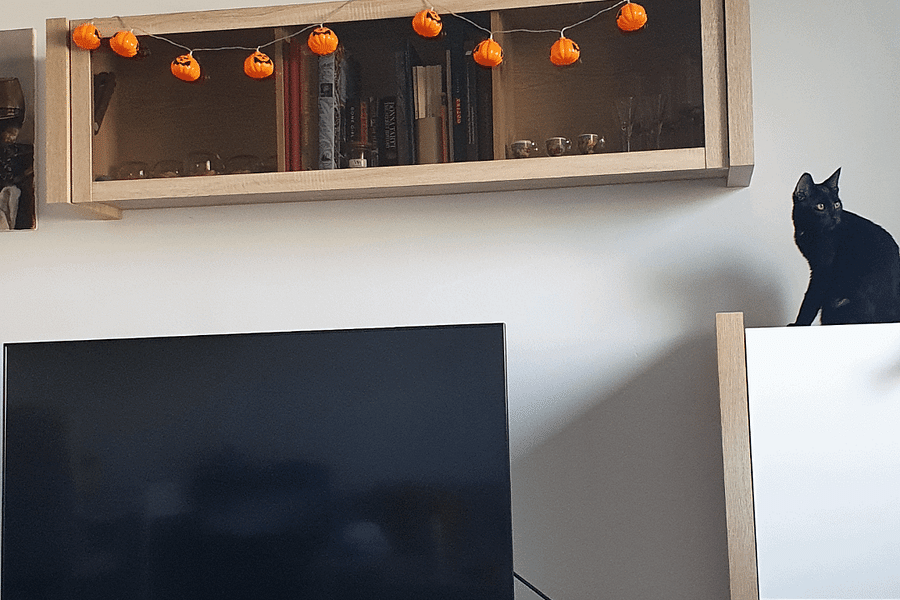 cat jumping onto TV stand