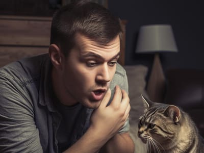 Recognizing Signs of Distress: Why is My Cat Coughing?