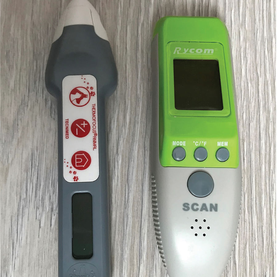 A cat thermometer showing the normal temperature range for felines