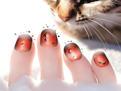 The Real Cost of Declawing: Understanding the procedure and its impact on a cat's life
