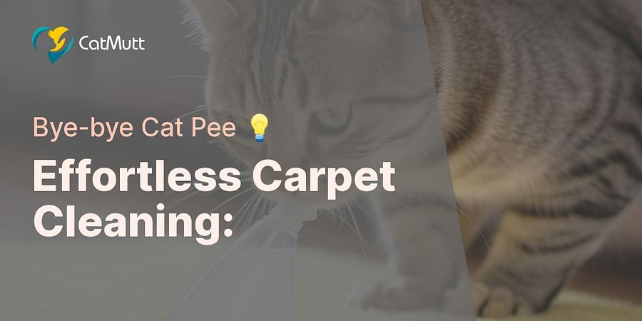 Effortless Carpet Cleaning: - Bye-bye Cat Pee 💡