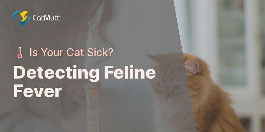 Detecting Feline Fever - 🌡️ Is Your Cat Sick?