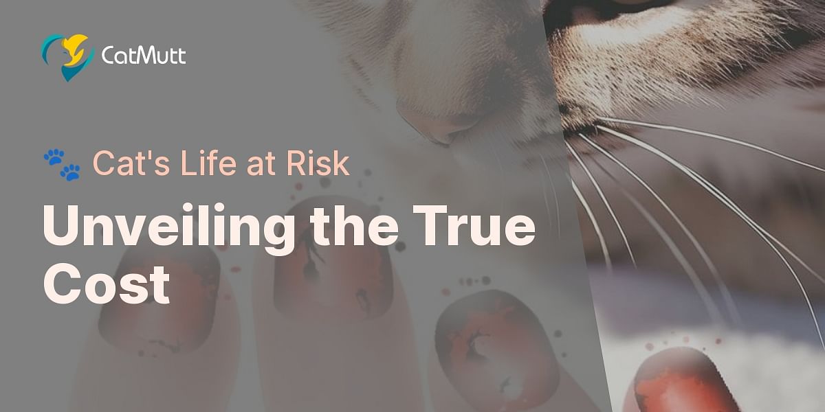 The Real Cost of Declawing Understanding the procedure and its impact