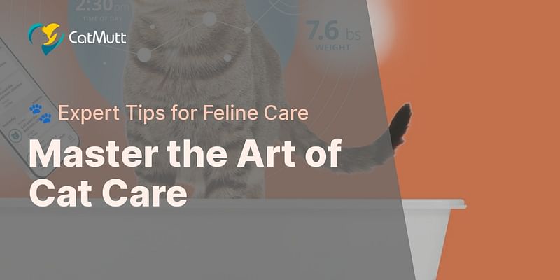 Master the Art of Cat Care - 🐾 Expert Tips for Feline Care