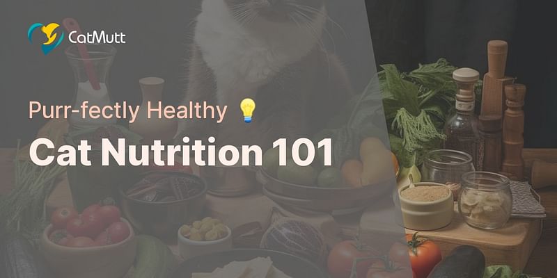 Cat Nutrition 101 - Purr-fectly Healthy 💡