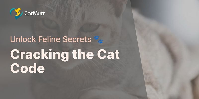 Cracking the Cat Code - Unlock Feline Secrets 🐾