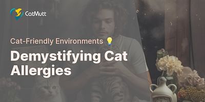Demystifying Cat Allergies - Cat-Friendly Environments 💡