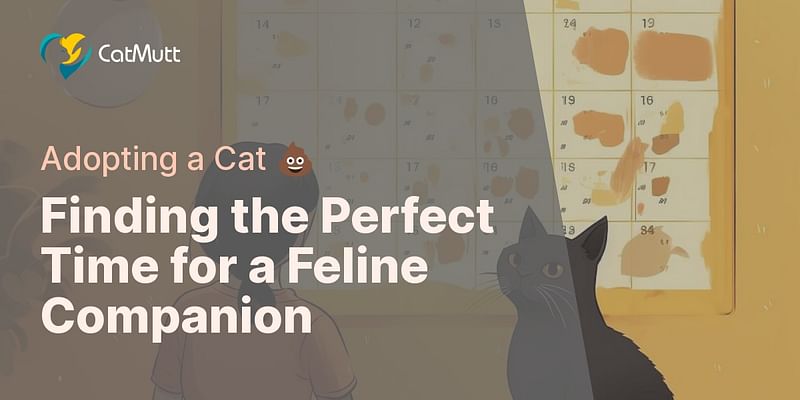 Finding the Perfect Time for a Feline Companion - Adopting a Cat 💩