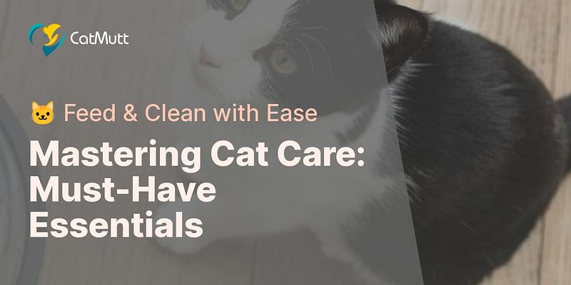 Mastering Cat Care: Must-Have Essentials - 🐱 Feed & Clean with Ease