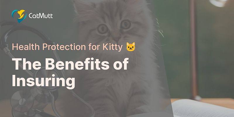 The Benefits of Insuring - Health Protection for Kitty 🐱