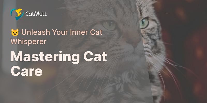 Mastering Cat Care - 😺 Unleash Your Inner Cat Whisperer