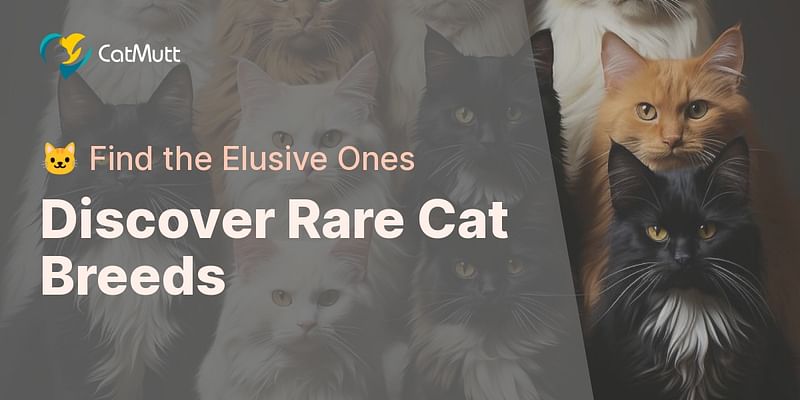 Discover Rare Cat Breeds - 🐱 Find the Elusive Ones