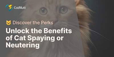 Unlock the Benefits of Cat Spaying or Neutering - 🐱 Discover the Perks