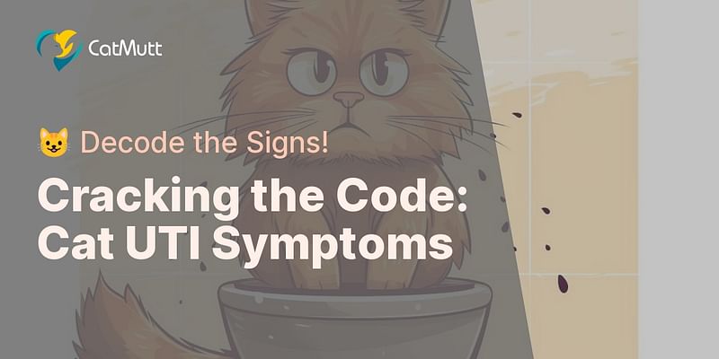 Cracking the Code: Cat UTI Symptoms - 😺 Decode the Signs!